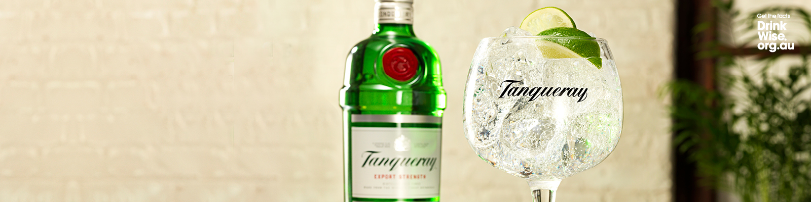 Tanqueray Gin & Tonic