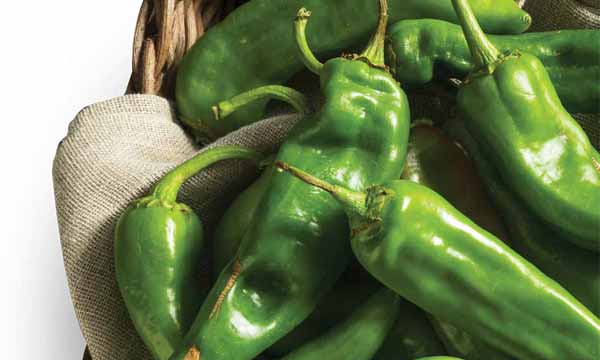 Hatch Green Chile Salsa