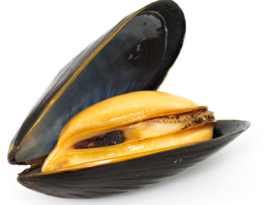 New Zealand Greenshell™ Mussels with Basil Pistou