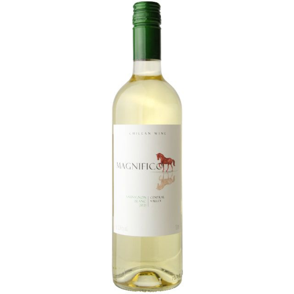 Magnífico (Sauvignon Blanc)