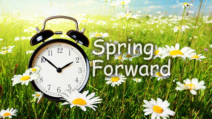 Spring Forward. Alarm clock in a field of flowers.