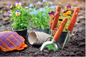 Flowers and gardening tools.
