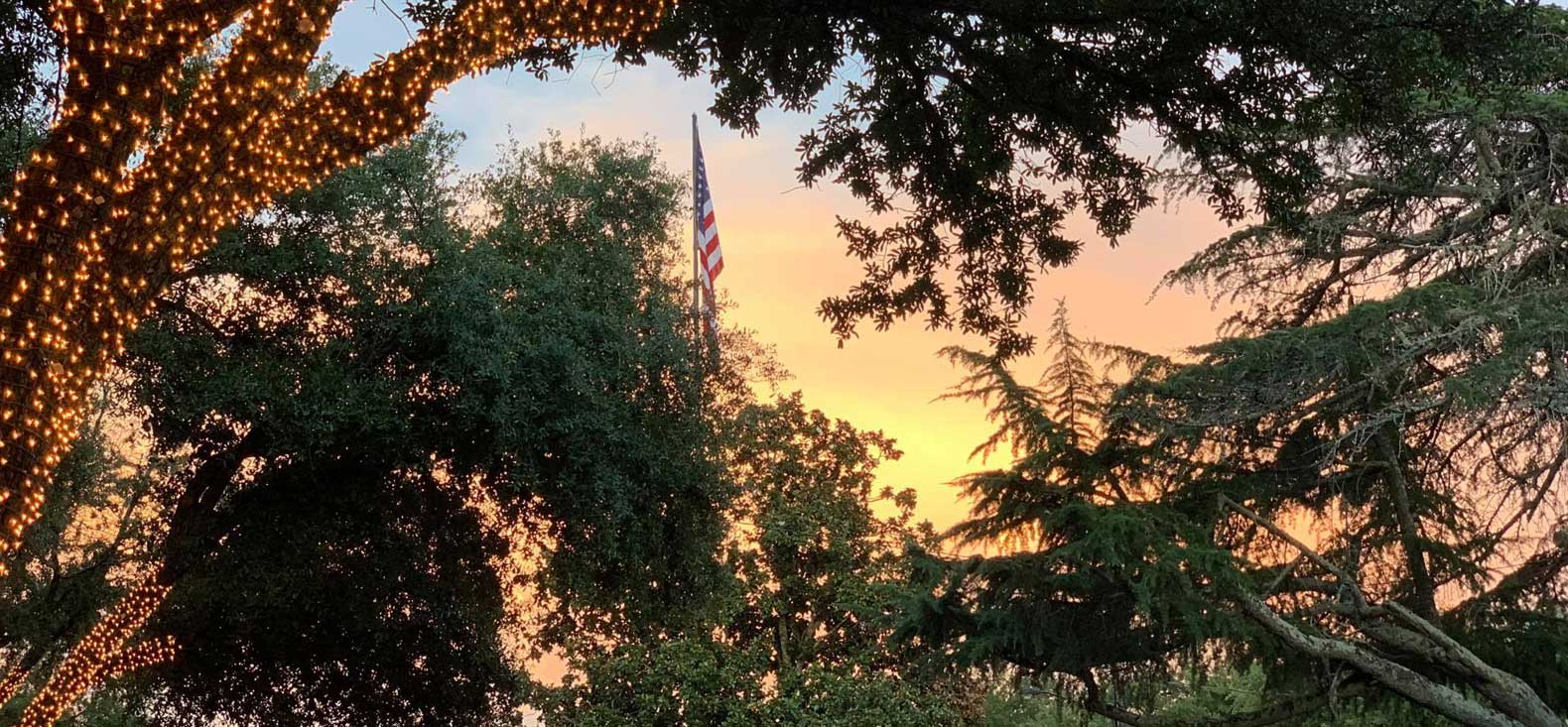 American flag and trees with sunset in background