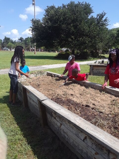 Children standing around a raised garden bed.