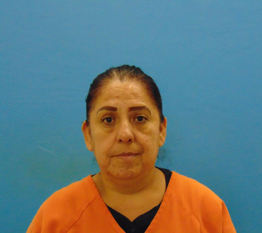 Portrait of wanted person  PEREZ TREVINO, MIRTA