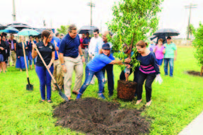 A group of people preparing to plant a tree.