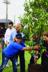 A group of people lifting a tree.