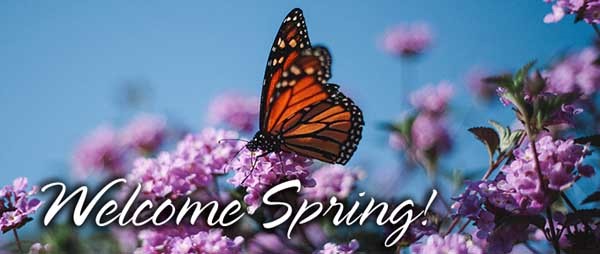 Welcome Spring with a butterfly and flowers in the background