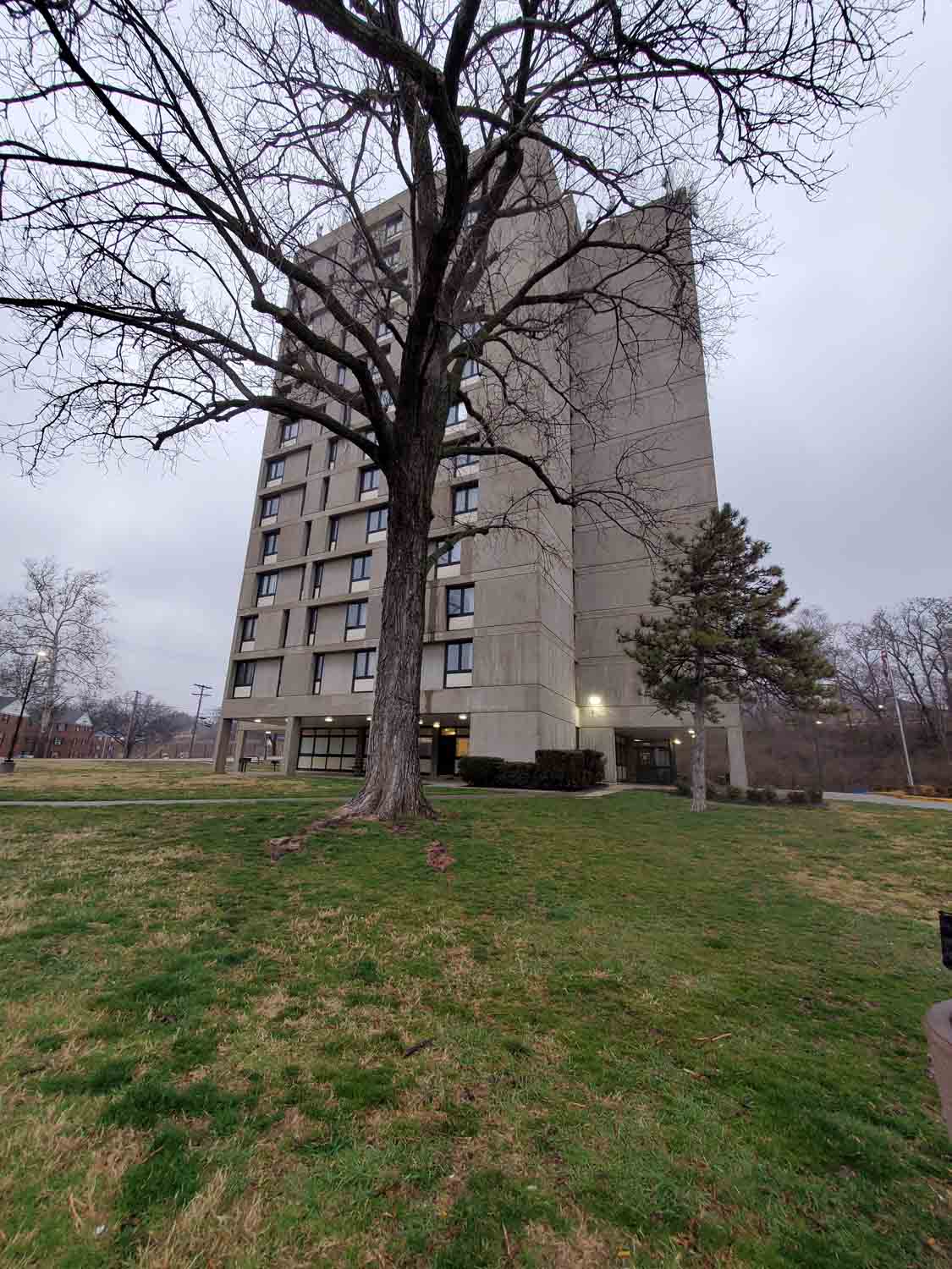 Brush Creek Towers  building with a tree.