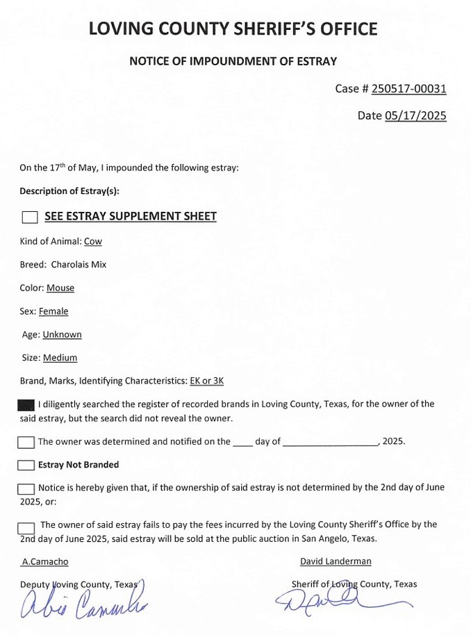 Loving County Sheriff's Office notice of impoundment of estray. All content shown above.