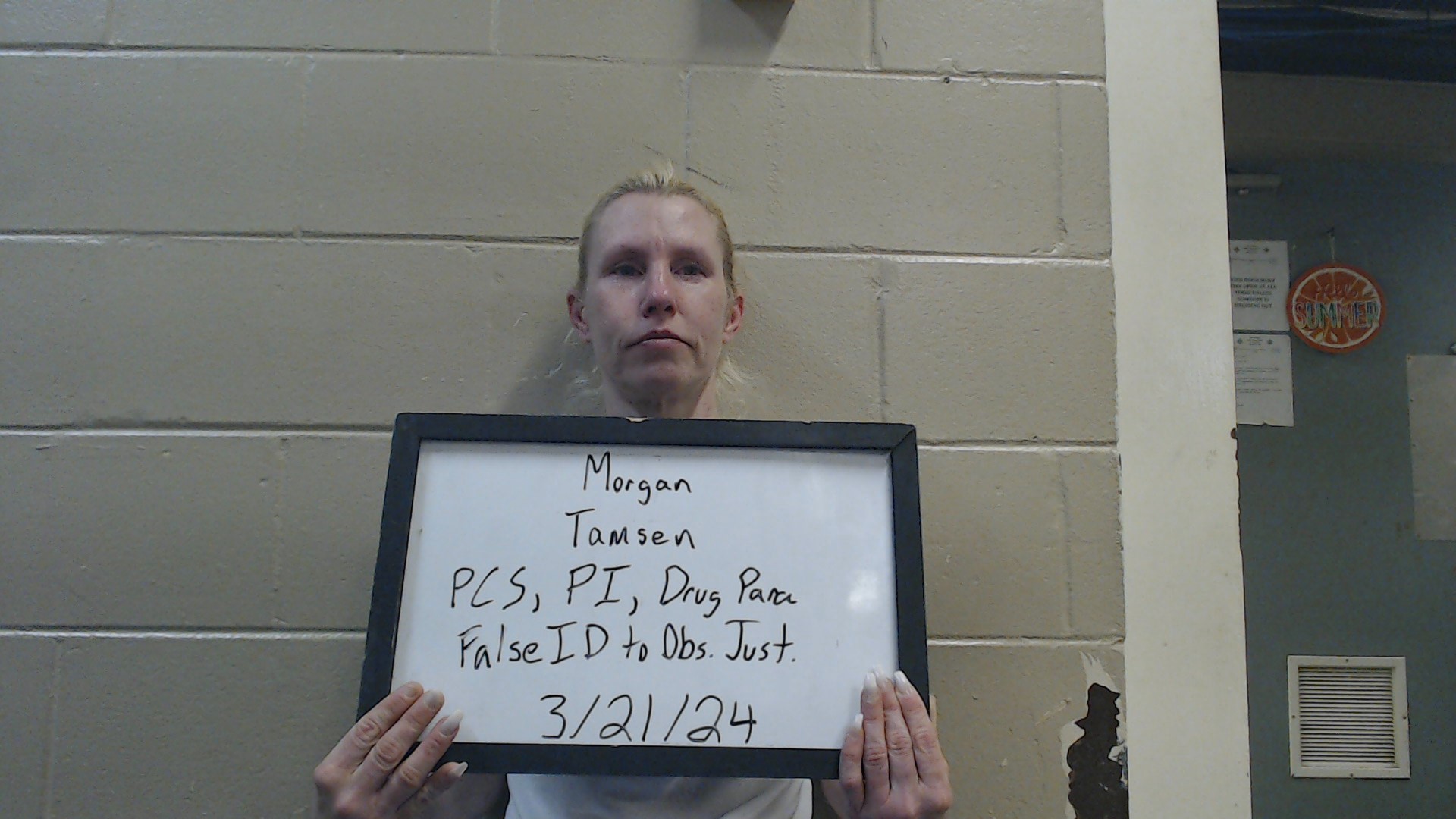 Mugshot of MORGAN, TAMSEN