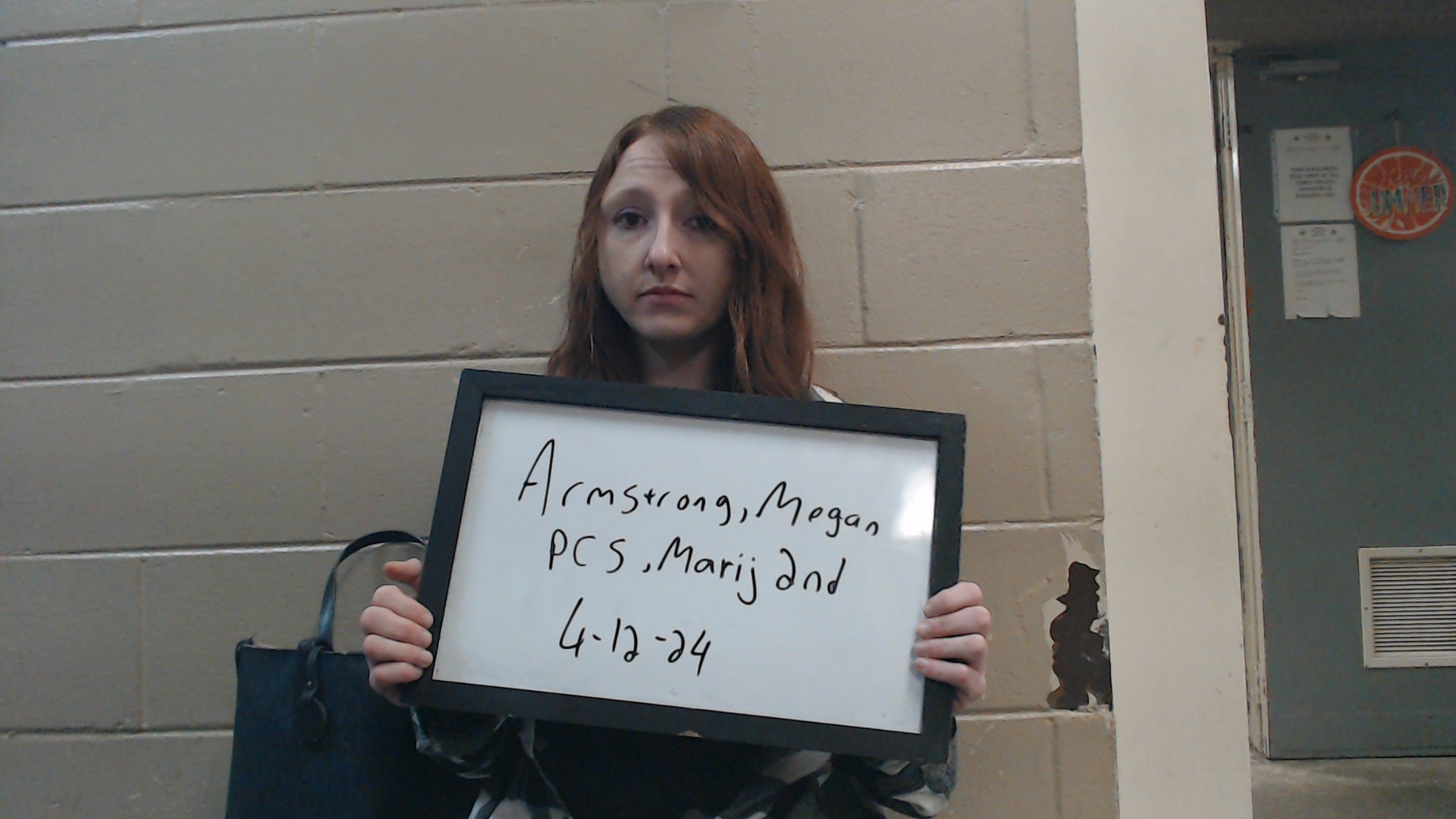 Mugshot of ARMSTRONG, MEGAN