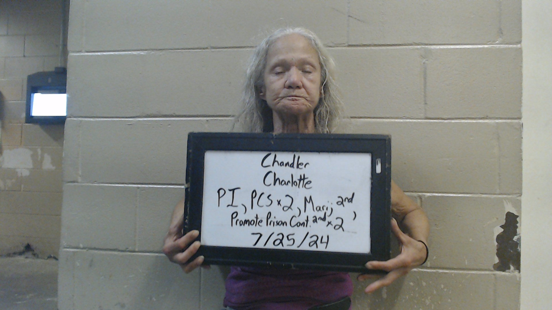 Mugshot of CHANDLER, CHARLOTTE