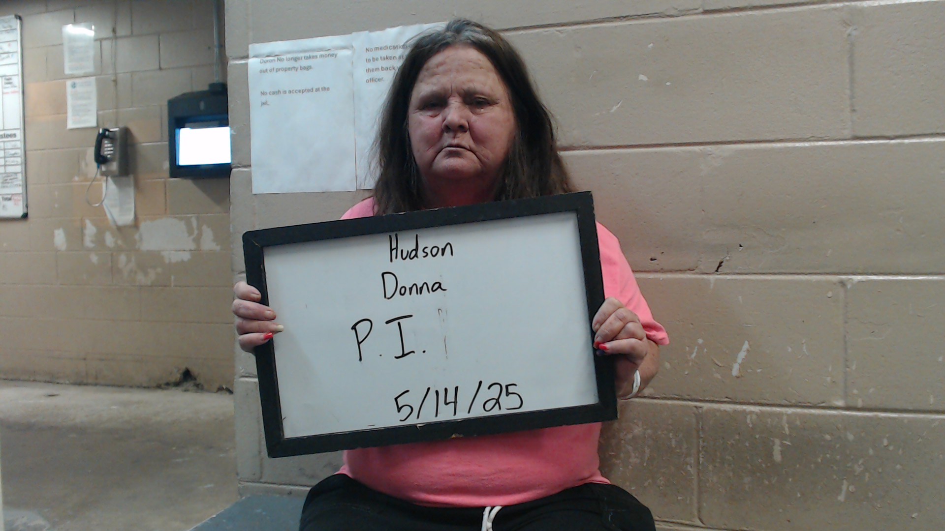 Mugshot of HUDSON, DONNA
