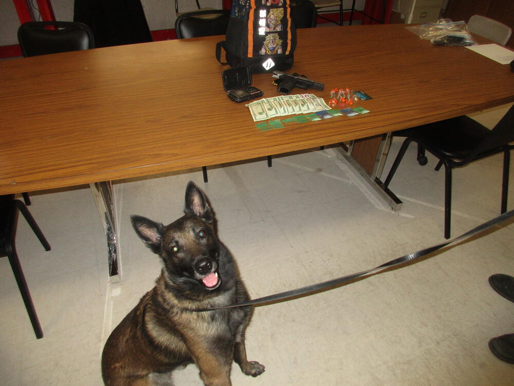 K9 Bust with Karim