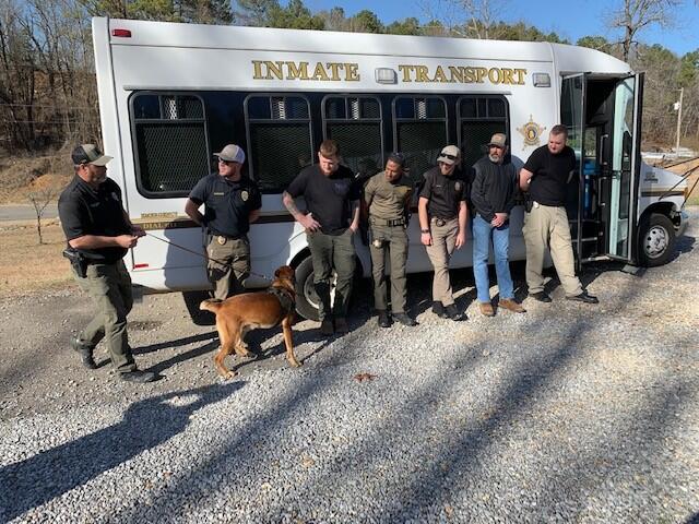 K9 Training 