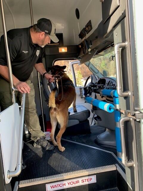 K9 Training