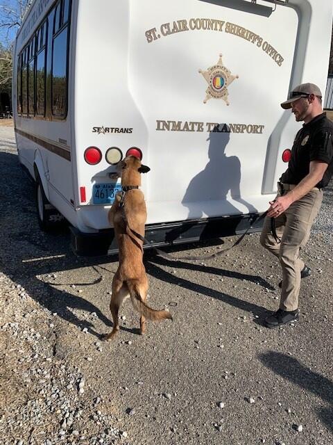 K9 Training 