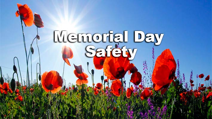Memorial Day Safety. Field of Flowers.