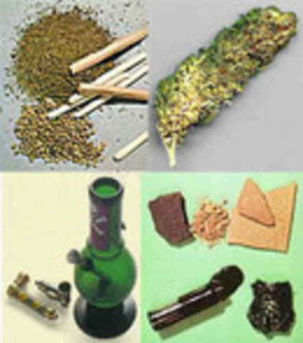 Marijuana and paraphernalia.