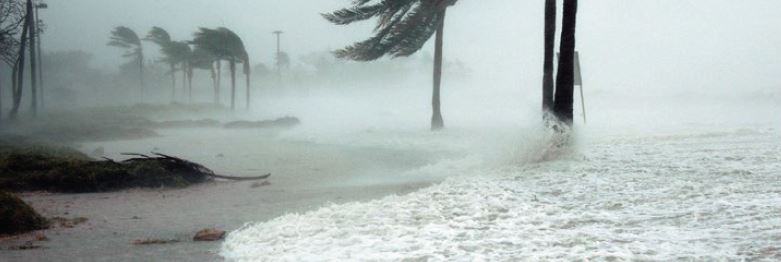 sandy beach during heavy storm with rain and strong winds blowing palm trees