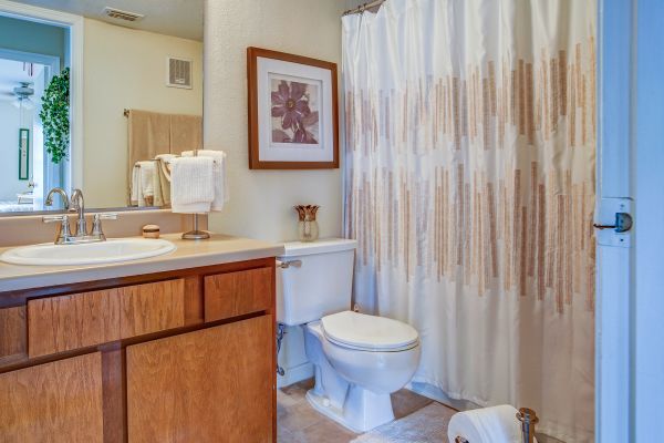 A bathroom in Meridian Apartments.