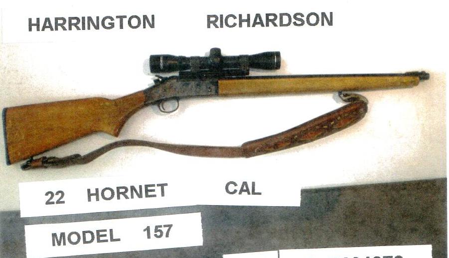 H&R 22 Hornet.bmp