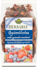 Gyümölcstea erdei gyümölccsel, 0,12 kg