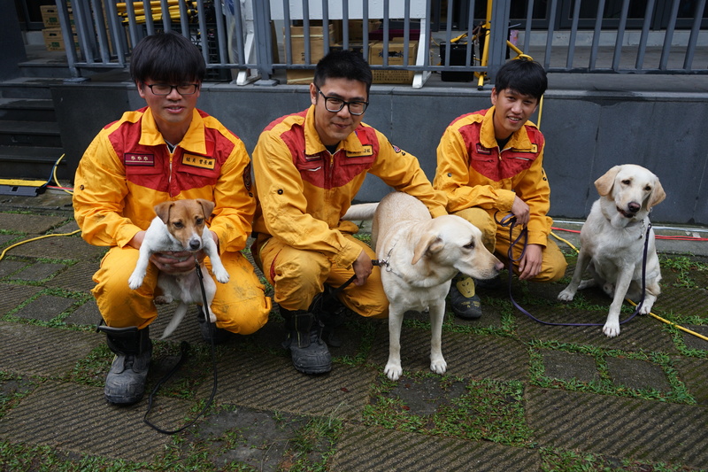 Taiwan's search and rescue dogs praised amid earthquake response