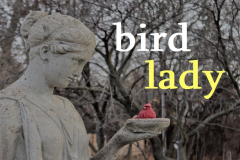 Bird Lady