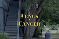 Venus in Cancer
