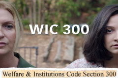 WIC 300