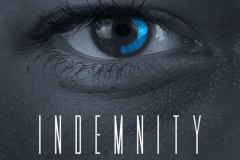 Indemnity: The Rabbit Hole