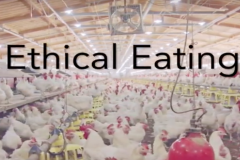 Ethical Eating