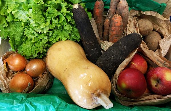 Panier de légumes et fruits bio