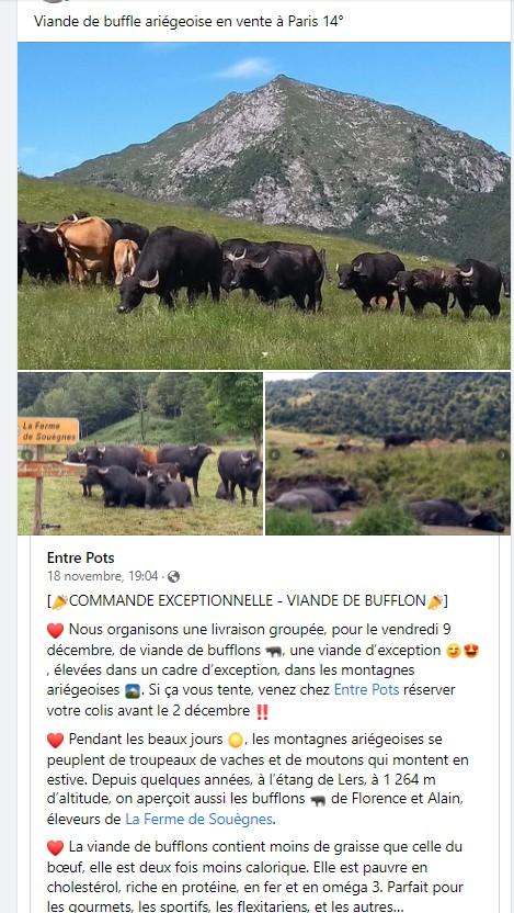 Viande de buffle Ariège en vente directe à Paris