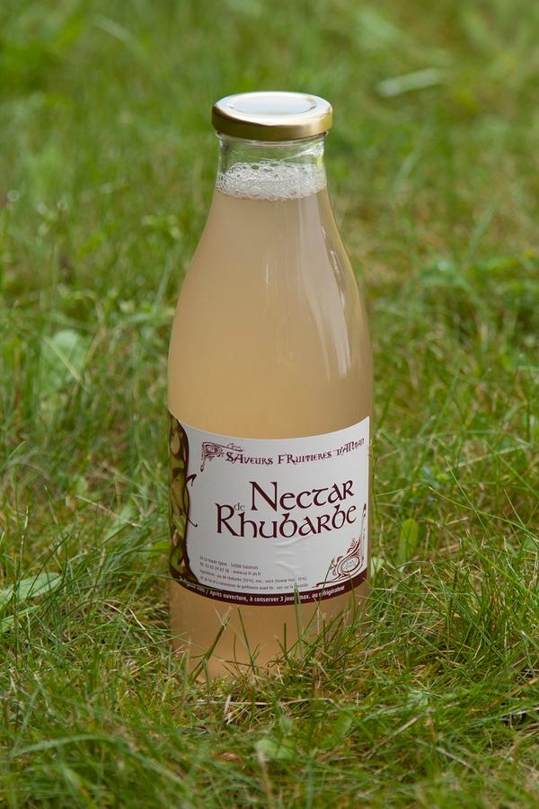 Nectar de rhubarbe