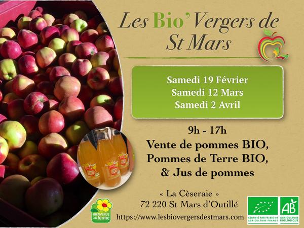 Vente directe de pommes BIO