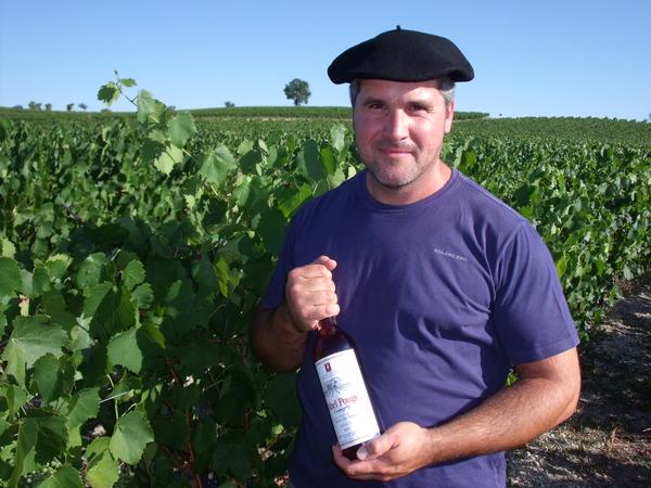 Vend vin IGP Côte du Tarn Rouge, Rosé, Blanc sec et blanc doux