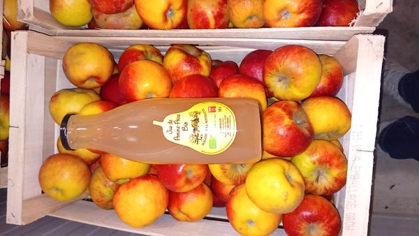 Jus Pomme Poires BIO