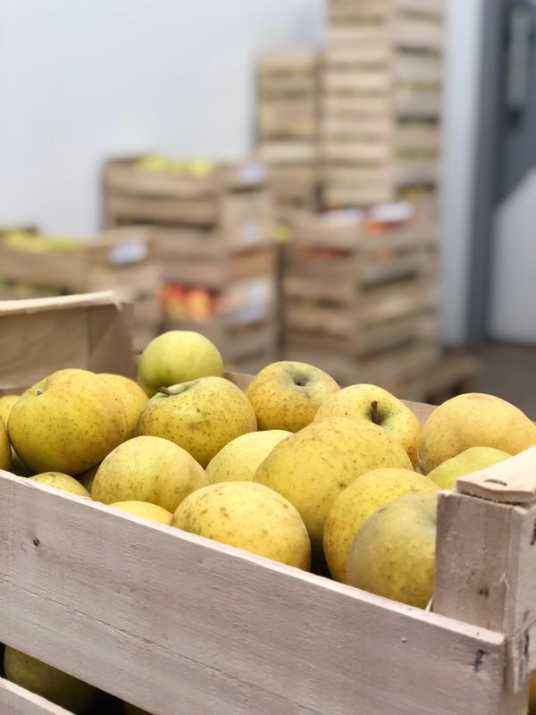 Pommes Belchard Catégorie II