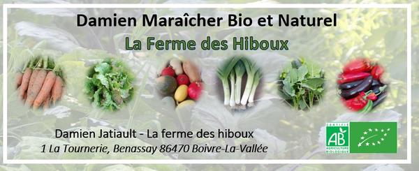 Légumes et fruits de saison bio