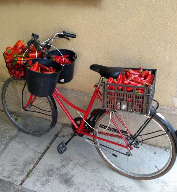 Panier de légumes