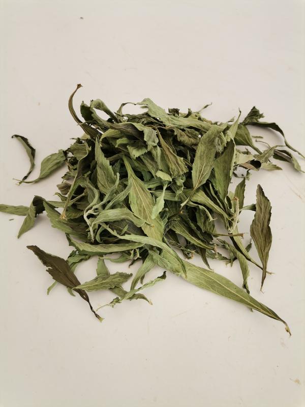 STEVIA BIO