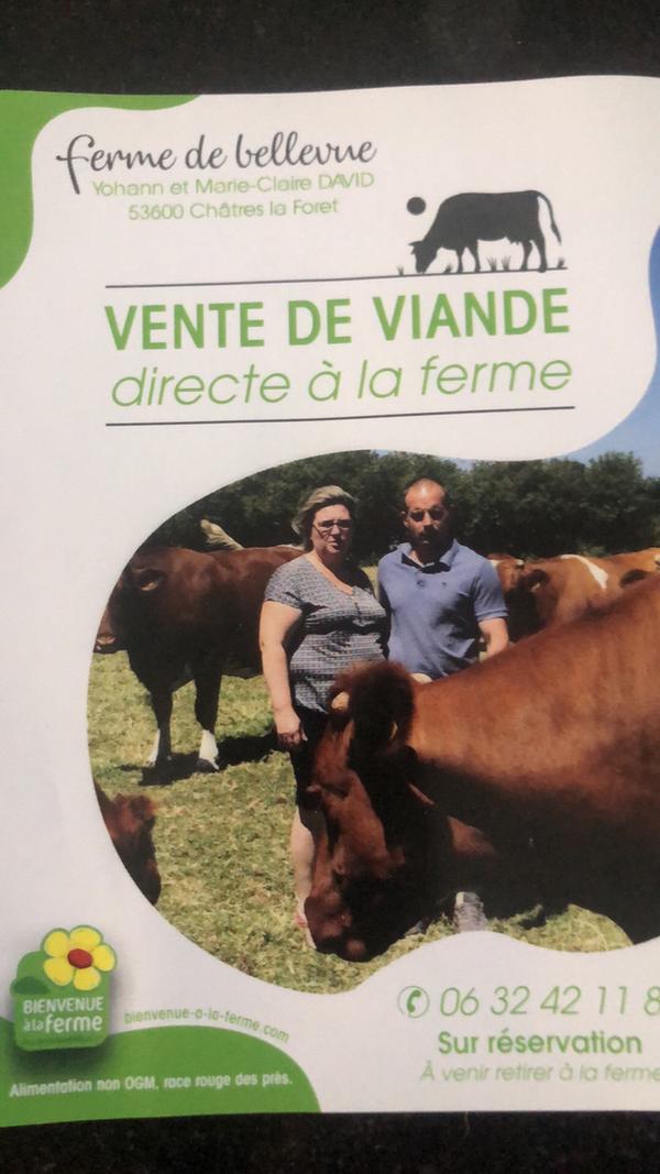 Vente de colis de viande bovine Rouge dès prés