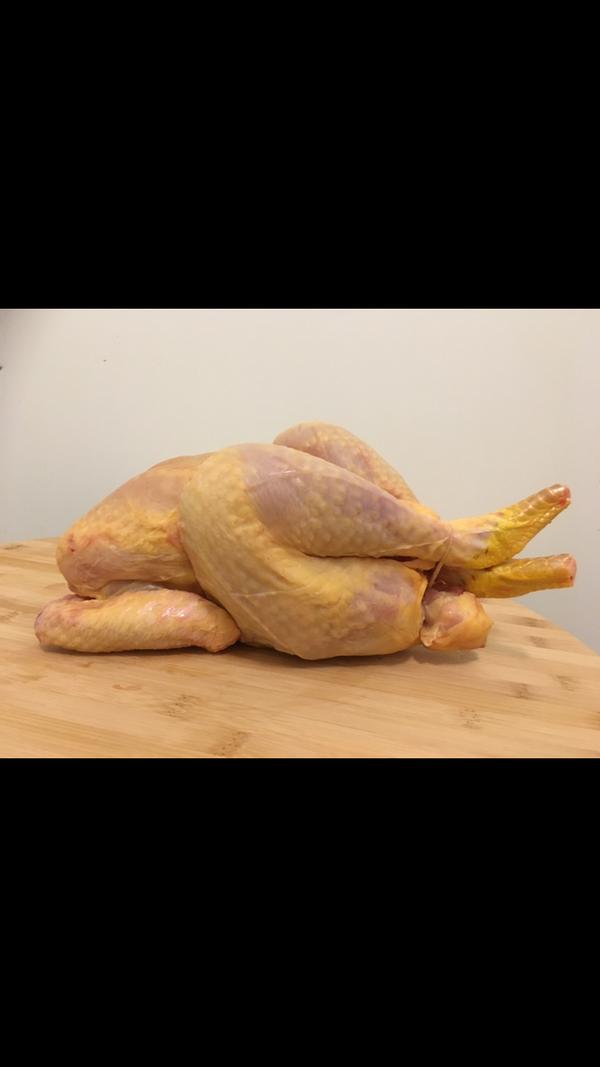 Poulet 