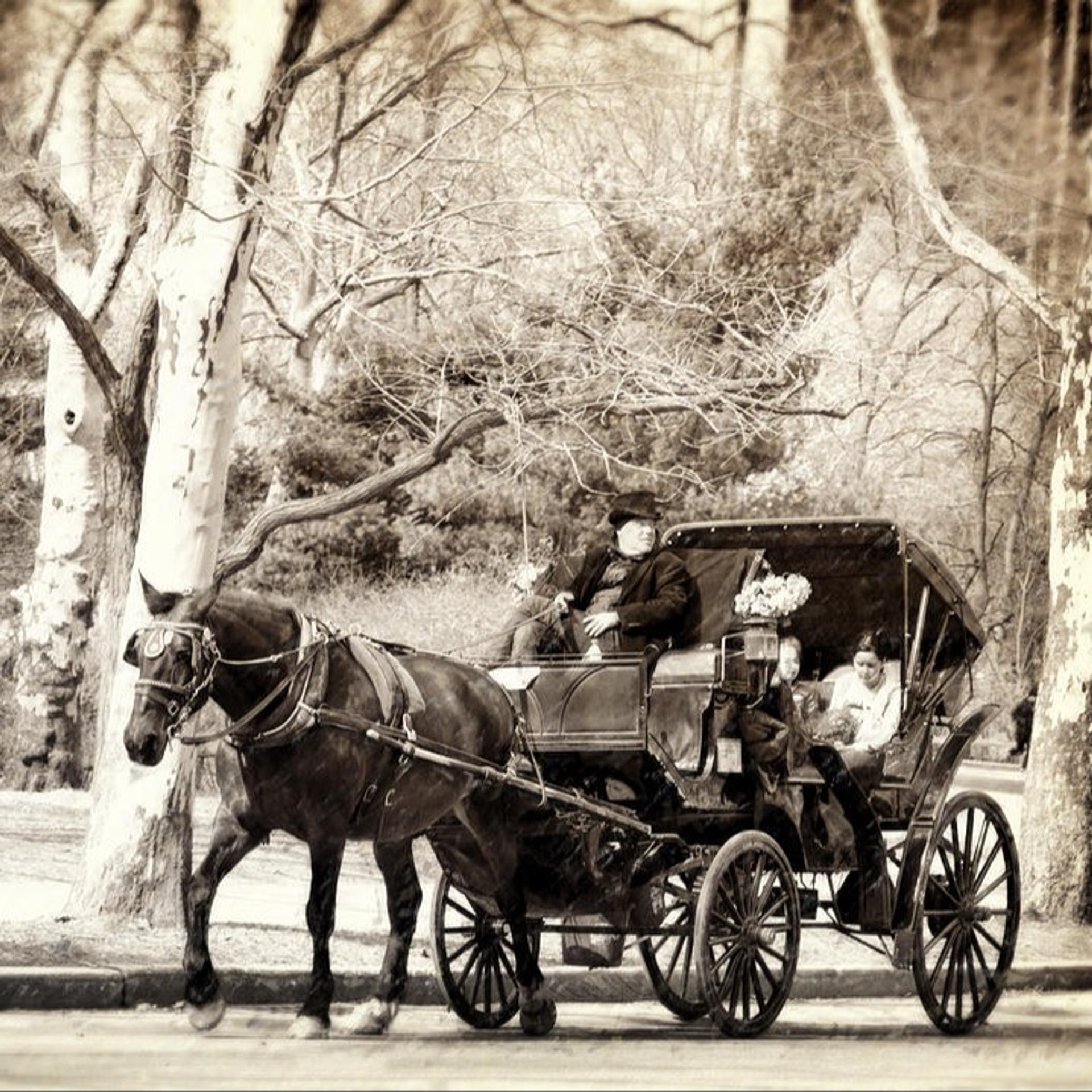 Image Two