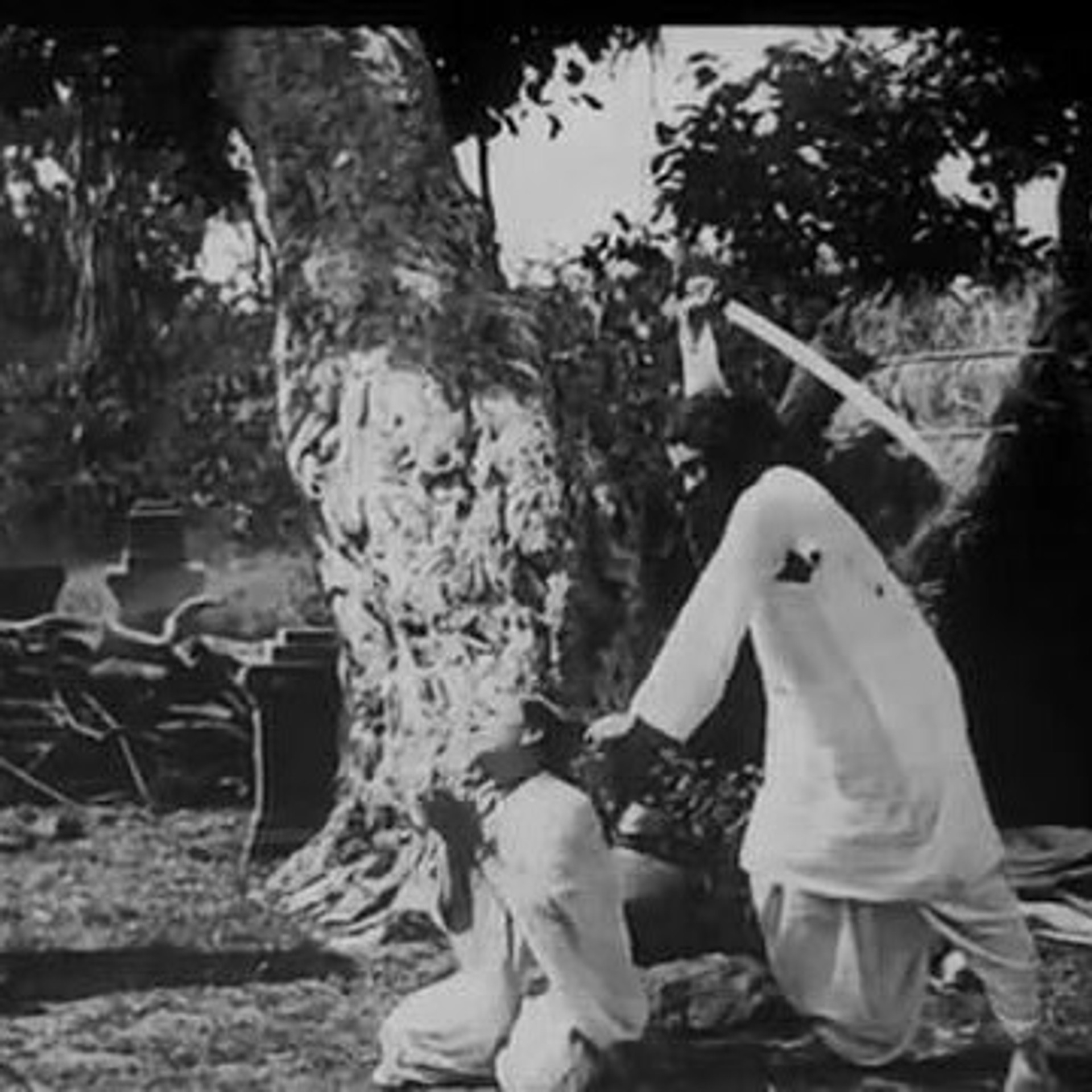 Image Two