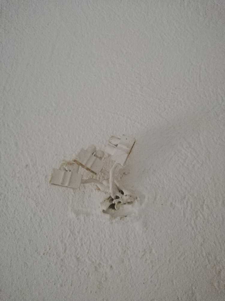 Find handyman | Moovick