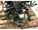 Koop Motorblok | Compleet bij Otosan Automotive B.V.
